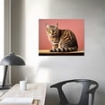thumbnail image 3 of Nawypu Cat Canvas prints Wall Art Photography Poster Printing Living room Bedroom Pictures Wall Decoration, 3 of 4