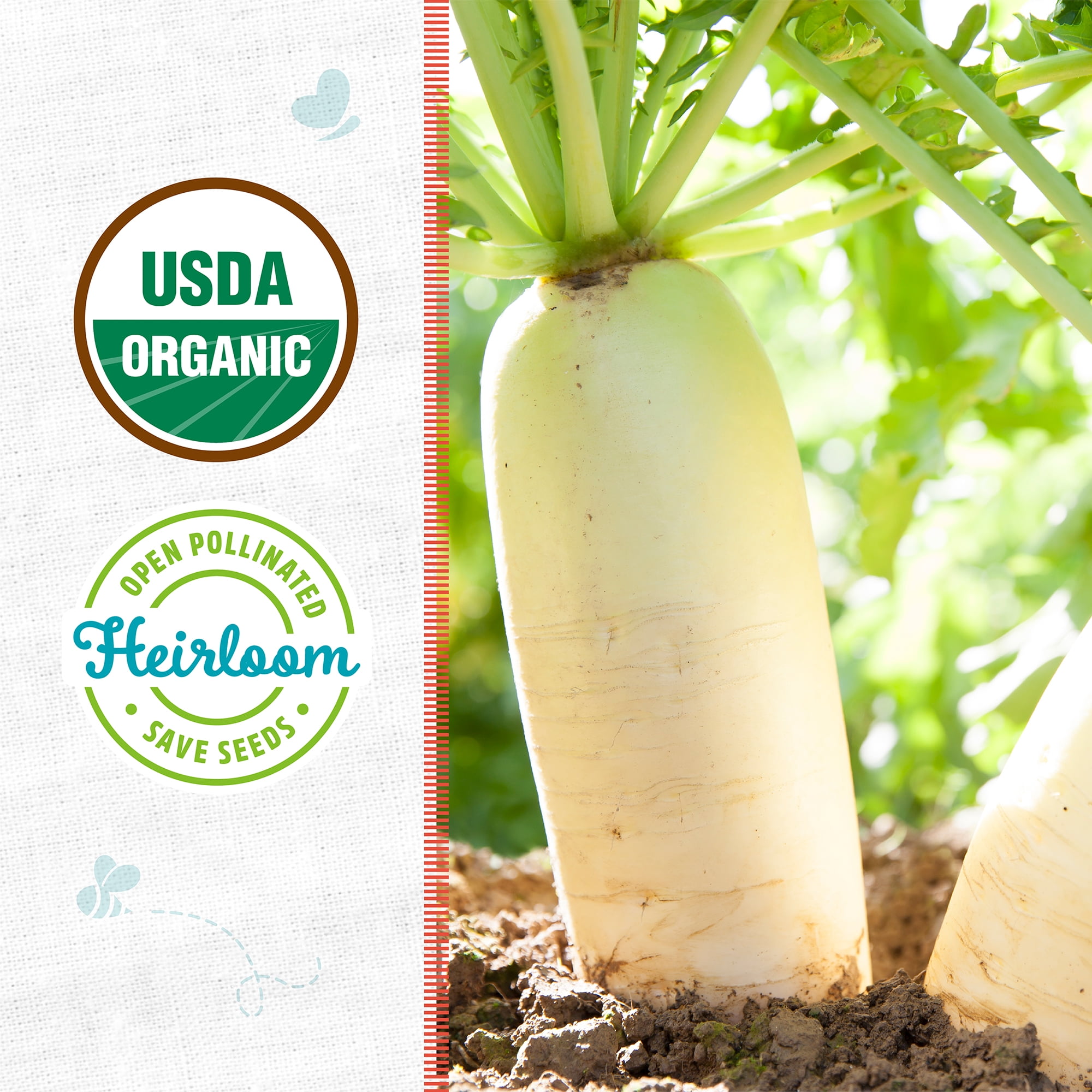 Back to the Roots Organic Daikon Radish Seeds 10-12 inch large