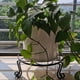 thumbnail image 2 of Soporte para macetas de flores, elegante exhibición para interiores y exteriores, soportes para plantas de metal negro resistentes a prueba de óxido, poder de sujeción estable y firme en ambientes, 2 of 6