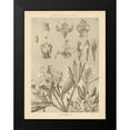 thumbnail image 2 of Wild Apple Portfolio 15x18 Black Modern Framed Museum Art Print Titled - Lithograph Florals IV, 2 of 5