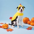 thumbnail image 2 of Vibrant Life Halloween Chicken Costume for Dogs, Yellow and Red, M, 2 of 6