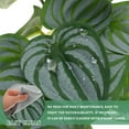 thumbnail image 3 of GOOHOCHY Plantas artificiales de interior con hojas de sandía realistas., 3 of 8