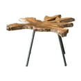thumbnail image 3 of Uttermost Kravitz Teak Wood and Iron Accent Table in Light Honey and Aged Black, 3 of 6