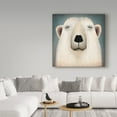 thumbnail image 3 of Trademark Fine Art 'Polar Bear Wow' Canvas Art by Ryan Fowler, 3 of 3