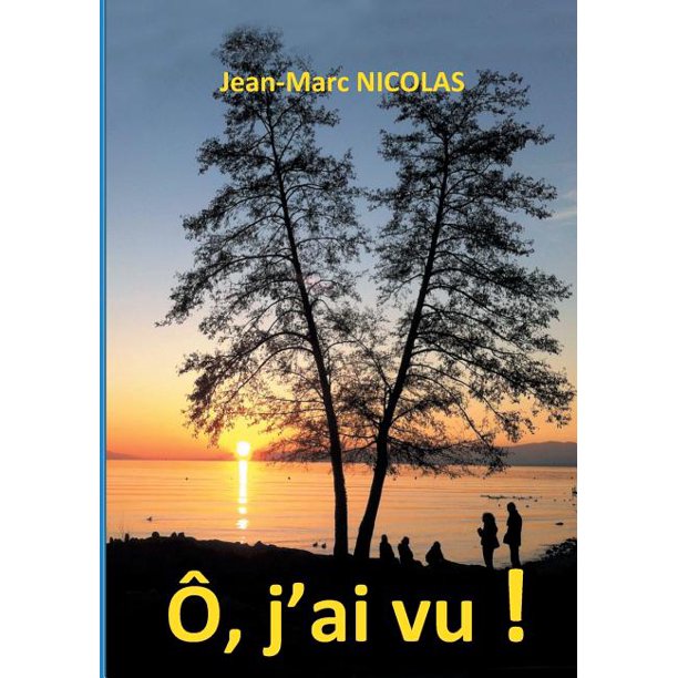 O J Ai Vu Ma Malle Aux Souvenirs Et Mon Carton De Photographies Paperback Walmart Com Walmart Com