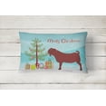 thumbnail image 2 of Carolines Treasures BB9258PW1216 Kalahari Red Goat Christmas Canvas Fabric Decorative Pillow, Teal, 12H x16W, multicolor, 2 of 3