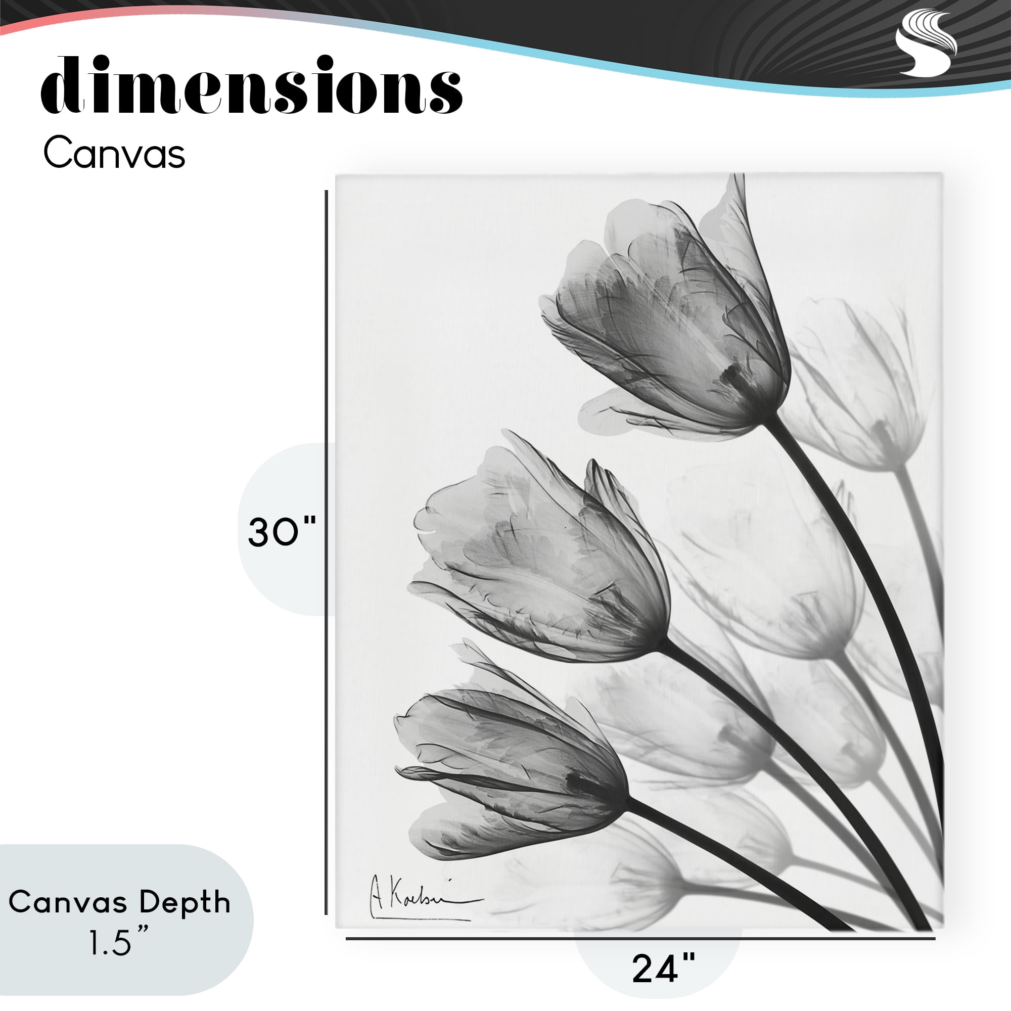 Stupell Industries Minimalist Tulip Fan Canvas Wall Art, design by Albert Koetsier