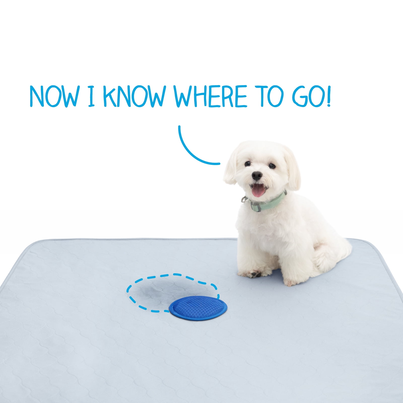 2ct 36x36 inch Paw Inspired Speed Spot "Go Here" Potty Training Puppy Pads with Pop Up Urine Attractant Target | Washable, Reusable Dog Pee Pads with Pheromone Scent Patch for Housebreaking