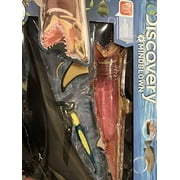 Discovery Mindblown 4D Shark Anatomy Kit