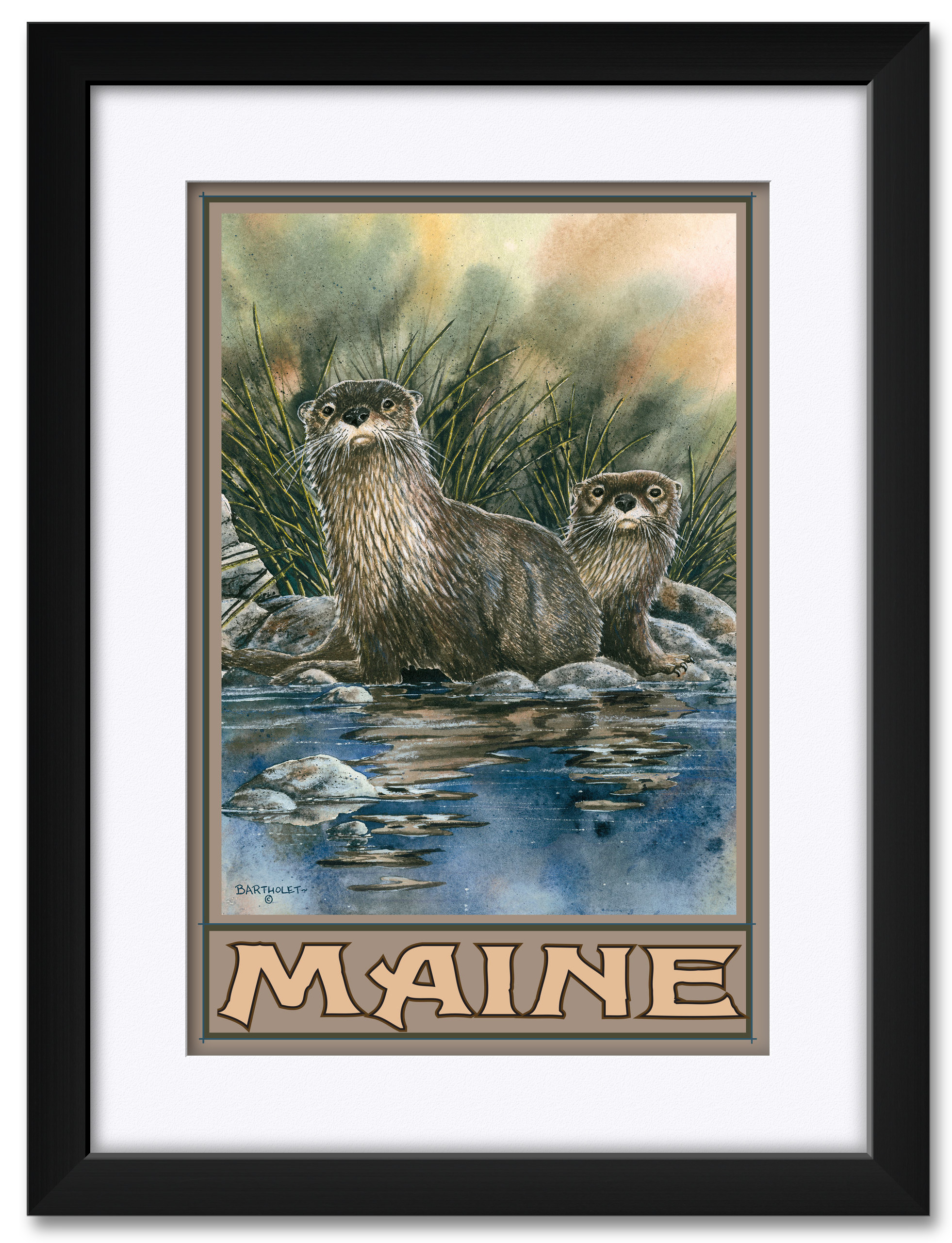 Maine Otters Framed & Matted Art Print by Dave Bartholet. Print Size