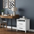 thumbnail image 6 of STYLIVIA 2-Drawer Nightstand with Open Shelf for Bedroom, Bedside Table, White, 20.9" W x 15.7" D x 22.7" H, Adult, 6 of 16