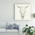 thumbnail image 3 of Trademark Fine Art 'Western Skull Mount I' Canvas Art by Ethan Harper, 3 of 4