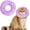 Purple, variant on Cat Cone Collar Soft, Cat Recovery Collar for Wound Healing Cute Cat Donut Adjustable Cat Cones to Stop Licking Comfortable Lightweight Neck Elizabethan Collars for Cats Kittens After Surgery