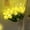White, variant on Radiant Romantic Tulip Light with a Vase, 15 PCS Twinkling Tulips Tree, LED Artificial Flowers Ambient Night Lamp, 2026 New Flower Shaped Ambient Night Lamp, for Bedroom Bedside Decor and Gift