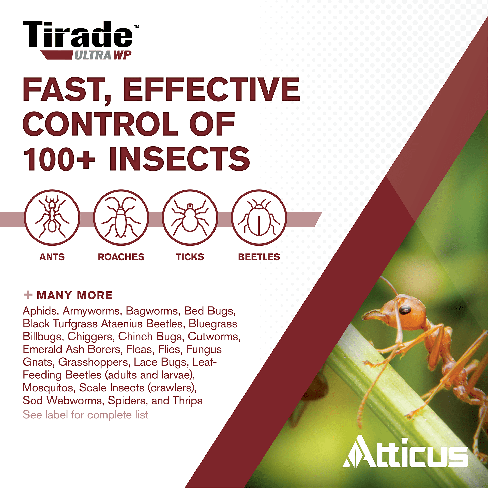 Tirade Ultra WP Insecticide (420 Grams) – Indoor and Outdoor Insect Control - Beta-Cyfluthrin Wettable Powder by Atticus