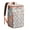 Rose-gold-1, variant on Sushi Roll Cooler Backpack - Insulated Leakproof Lunch Bag for Camping, Beach, Travel, 20L Capacity, Keeps Food Cold 20 Hours