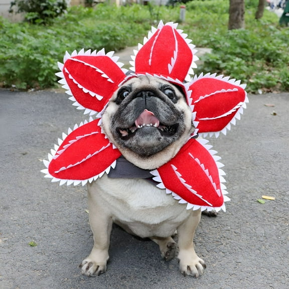 GASTROPOD Pet Demogorgon Hat Funny Scary Flower Costume for Dogs Cats Adjustable Man-Eating Flower Shape Sticker Pet Headwear Accessories (L-28X31Cm)