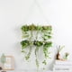 thumbnail image 5 of Plantas colgantes artificiales Yuarrent decoración verde, 5 of 6