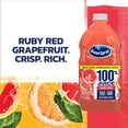 thumbnail image 5 of (8 pack) Ocean Spray® 100% Ruby Red Grapefruit Juice, 100% Juice, 60 fl oz Bottle, 5 of 15