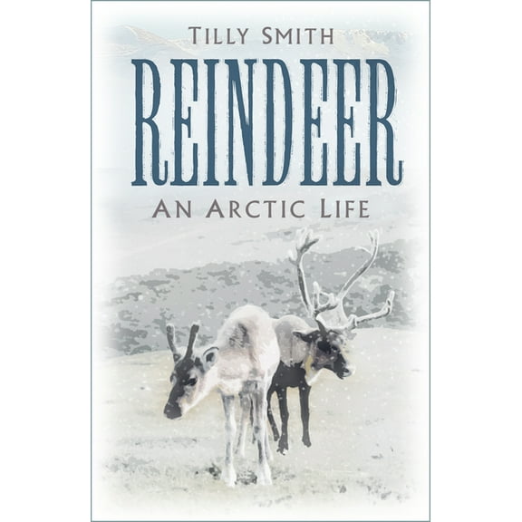 Reindeer : An Arctic Life (Paperback)