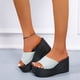 thumbnail image 2 of Amzcrzy Zapatos de mujer,Zapatos de mujer,Zapatillas de mujer, Sandalias de playa transpirables con tacón Matsu, suela gruesa y tacón inclinado para mujer Sandalias Mujer Zapatillas De Casa, 2 of 7