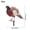 B, variant on 1/2Pc Pheasant Garden Decorations Pheasants Stake Lawn Courtyard Statue Sculptures Acrylic Stakes Outdoor Art Ground Plug Decor
