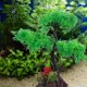 thumbnail image 1 of FOMIYES Accesorio De Acuario Artificial Para De Peces, 1 of 6