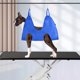 thumbnail image 4 of Hamaca para perros jinwen Hamaca de aseo de mascotas, 4 of 8