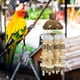 thumbnail image 5 of Juguete para Pájaros Masticar Ganfancp para Jaula de Loros Bloques de Madera Perlas de Lufa, 5 of 7