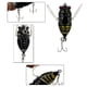 thumbnail image 4 of Anzuelo de cebo biónico de plástico, 5 cm, 6 g, Wobbler Cicada, señuelo de pesca duro (verde), 4 of 8