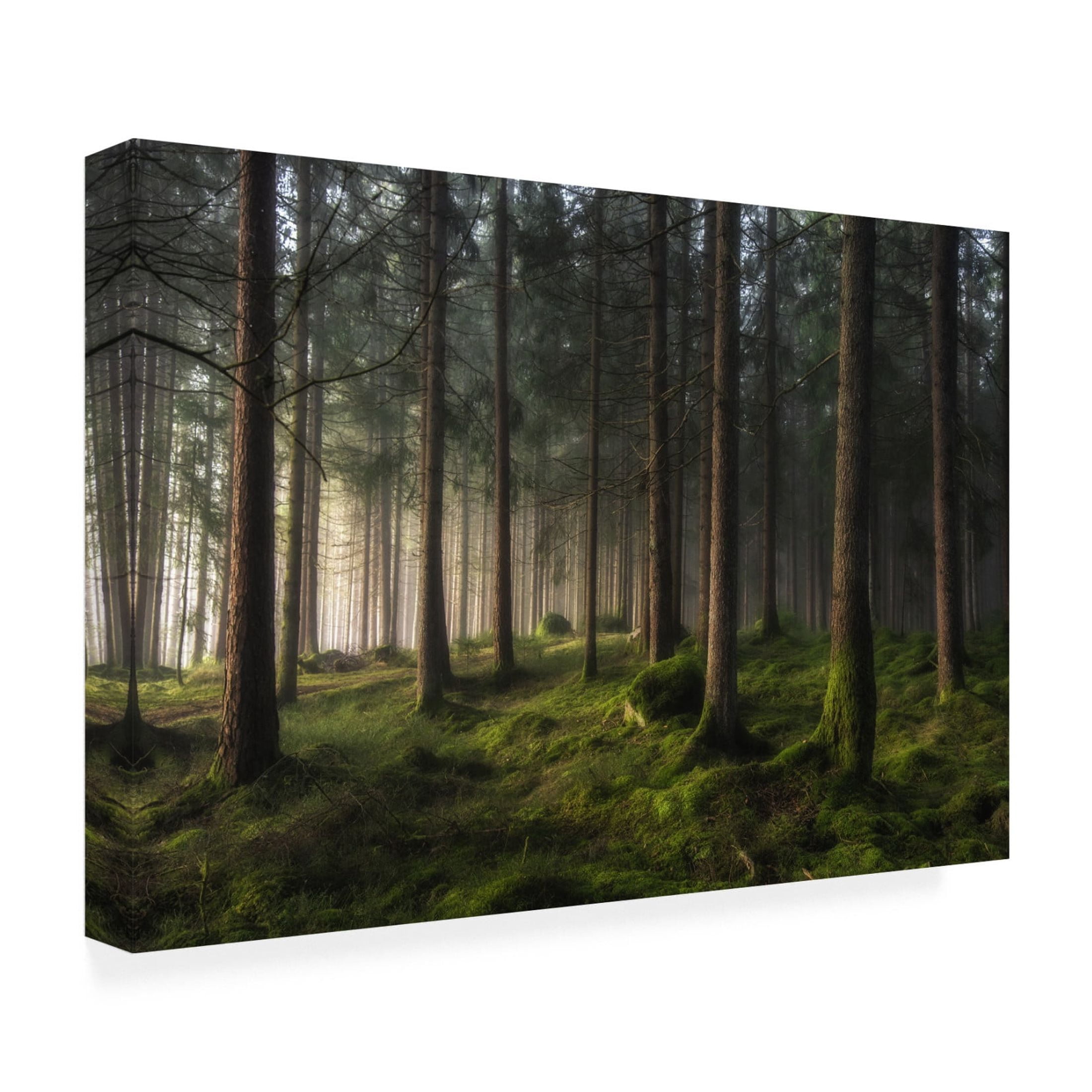 Canvas Wall Art - Benny Pettersson 'A Sense Of Spring' Wall Art for Living Room, Bedroom, or Office Décor by Trademark Fine Art - 47 x 30 Inches