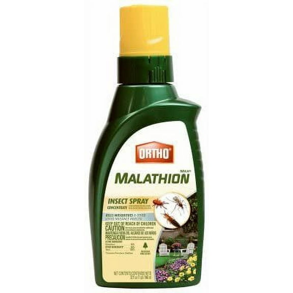 SCOTTS ORTHO ROUNDUP 0166610 Malathion Plus Concentrate, 32-oz. Concentrate - Quantity 1