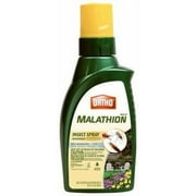 SCOTTS ORTHO ROUNDUP 0166610 Malathion Plus Concentrate, 32-oz. Concentrate - Quantity 1