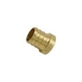 thumbnail image 3 of SharkBite  3/8 in. PEX   x 3/8 in. Dia. PEX  Brass  Plug, 3 of 4