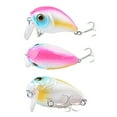 thumbnail image 4 of CSChome Artificial Bait Bionic Fishing Bait Hook Simulation Realistic Reflective Angling Plastic Small Fatty Floating Rock Lure Outdoor Fishing Fake, 4 of 7
