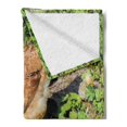 thumbnail image 2 of Hen and Chicks Soft Flannel Fleece Throw Blanket, Still Life Photo of Domestic Farm Animals on Shamrock Field, Cozy Plush for Indoor and Outdoor Use, 60" x 80", Apple Green Multicolor, by Ambesonne, 2 of 5