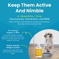 thumbnail image 2 of Paramount Pet Health Omega-3 Fish Oil Dog & Cat Supplement 2 oz., 2 of 10