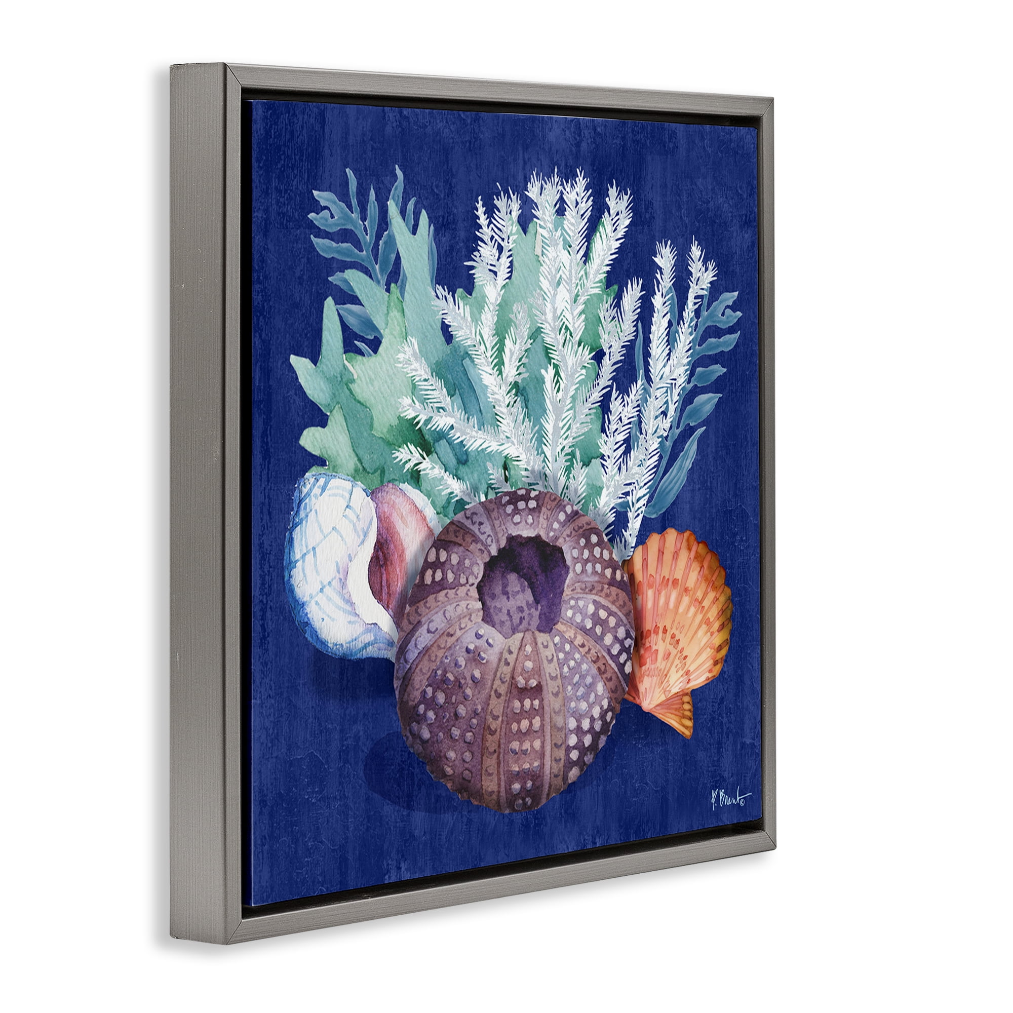 Stupell Industries Urchin Sea Life Coastal Painting Gray Floater Framed Canvas Art Print Wall Art, 18 x 18