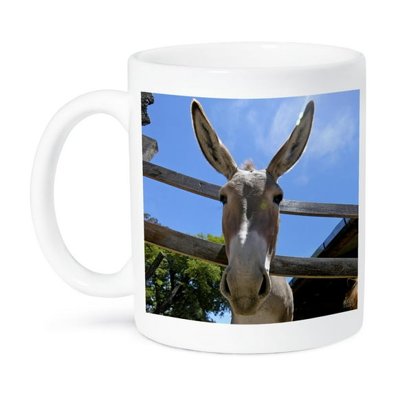 3dRose, Donkey in a farm 2, 15oz Mug