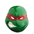 Raphael Vacuform Mask Adult Halloween Accessory - Walmart.com