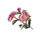 thumbnail image 3 of Qarigey Broche de flor estética, broche elegante para novia, joyería de moda para cumpleaños, novia, esposa, regalo personalizado rosa Rosado 20piezas, 3 of 6