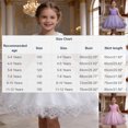 thumbnail image 3 of Fesfesfes Toddler Girls Solid Color Embroidery Hollow Out Lace Sequins Birthday Party Flowers Gown Kids Dresses, 3 of 7
