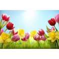 thumbnail image 1 of EREHome Polyester Fabric 7x5ft Tulip Flowers Photography Backdrop Prop Photo Background, 1 of 1