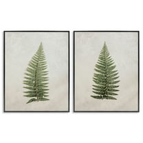 Stupell Industries Realistic Fern Leaves Plants & Flowers Painting Black Framed Art Print Wall Art, 16 x 20, Set of 2