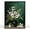 Blossoms, variant on Moonow7 Snowdrop Flower Wall Art Poster, Elegant White Bloom Print on Green Background for Bedroom, Living Room, or Kitchen, Spring Floral Botanical Home Decor, Unframed Size 40x50 cm / 16x20″