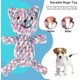 thumbnail image 2 of Juguete de cuerda para perros y gatos (oso colorido), algodón, limpieza natural de dientes, cuerda para masticar, pelota para perros, juguete de entrenamiento, juguete para cachorros, 2 of 5