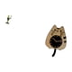 thumbnail image 5 of Figura de escritorio,Estatua de rana camarero,estante,escritorio,decoración del hogar,Reloj de pared,Reloj de pared decorativo con diseño de gato para sala de estar,silencioso,Reloj de pared, 5 of 8