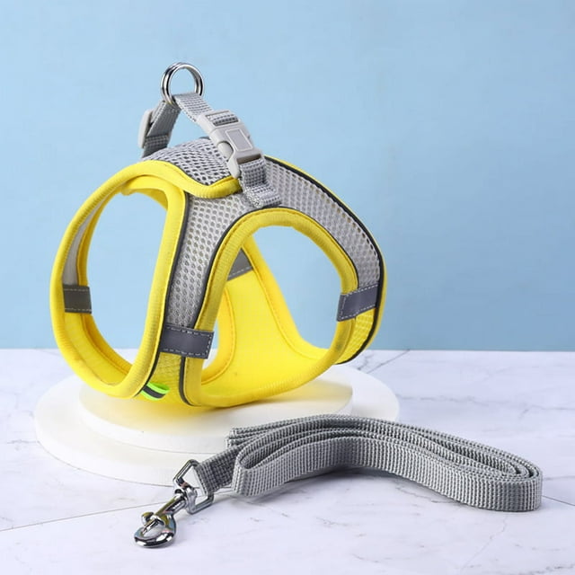 Chaleco para perros, cuerda de tracción, perro pequeño, gato, perro, cuerda de tracción para pasear, osito de peluche