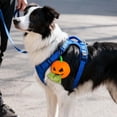 thumbnail image 3 of Pumpkin Themed Poop Bag Dispenser Holder Leash Attachment for Dogs Convenient Outdoor Walking Waste Management Solution, 3 of 5