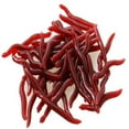 thumbnail image 5 of Opolski 50Pcs Rubber Artificial Lifelike Earthworm Worm Soft Baits Fishing Lures Tackle, 5 of 8